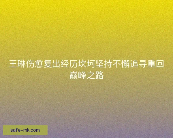 王琳伤愈复出经历坎坷坚持不懈追寻重回巅峰之路